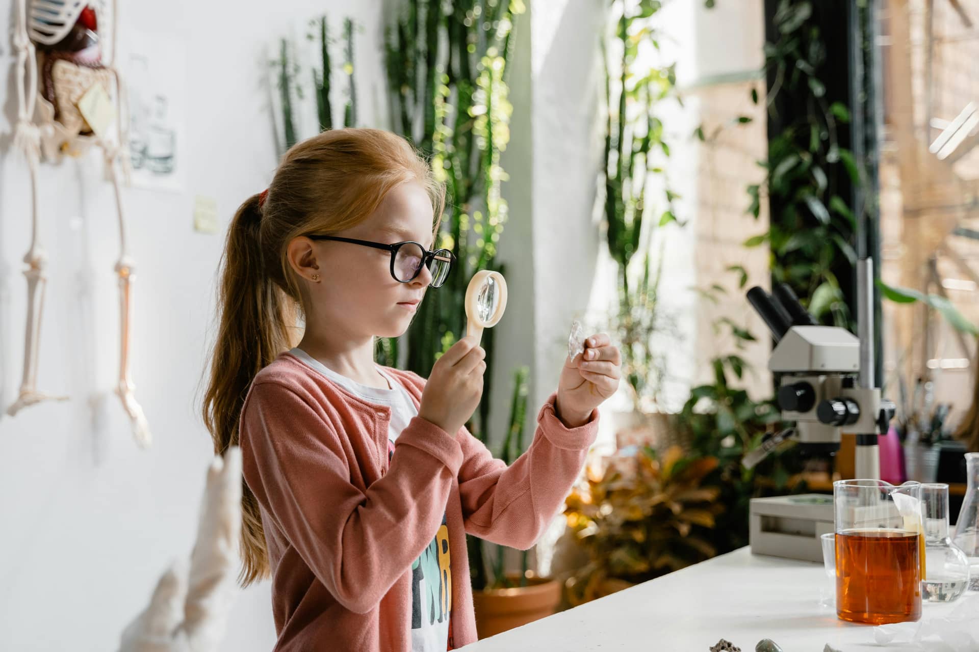 Decoding Human Genetic Variation in Human Health and Disease (LSI-03) - STEM camp for Ages not published by Princeton University
