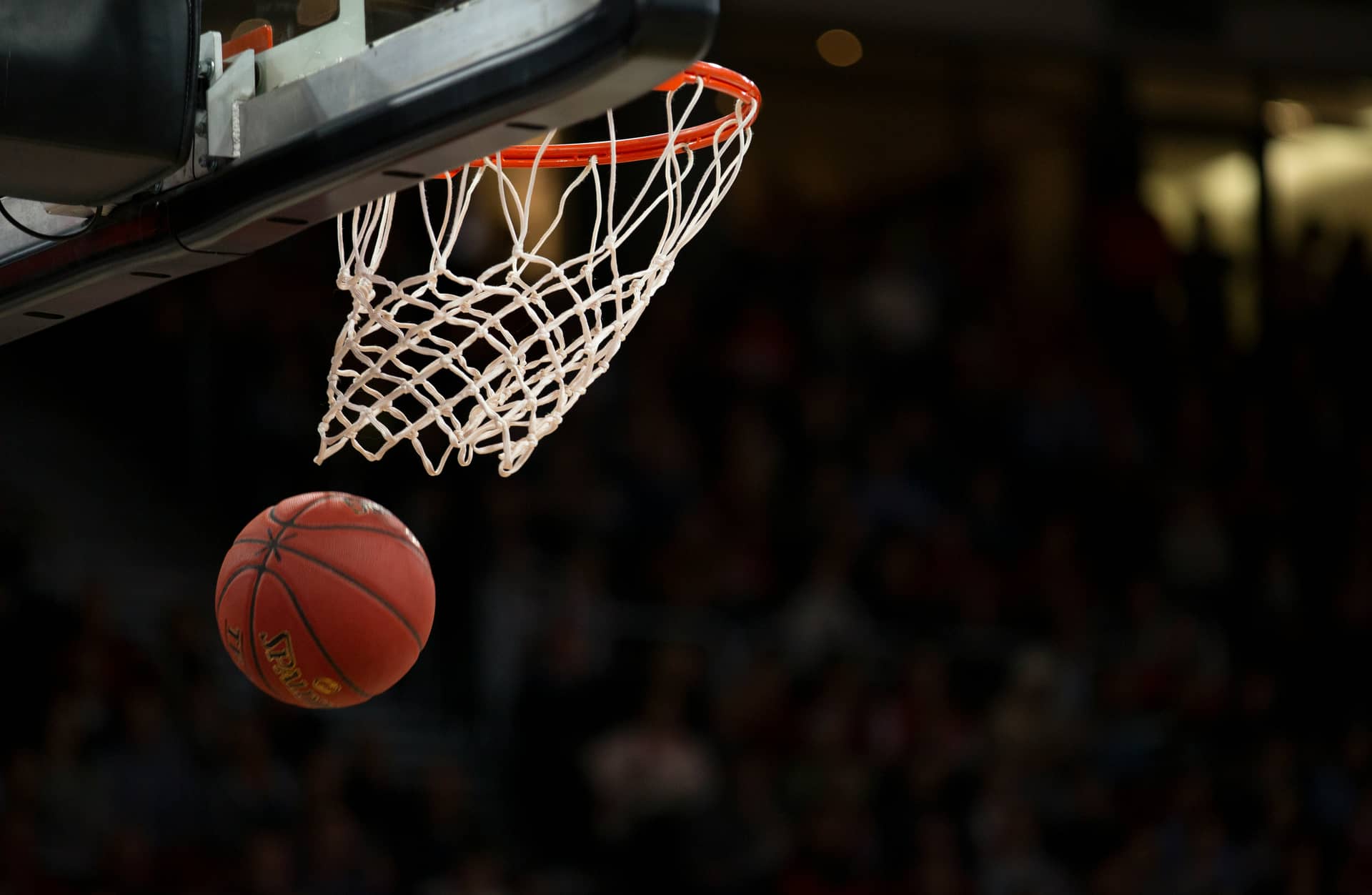 Pulse Premier Basketball Camps - Sports camp for Ages: 5-14 by Pulse Sports Camps