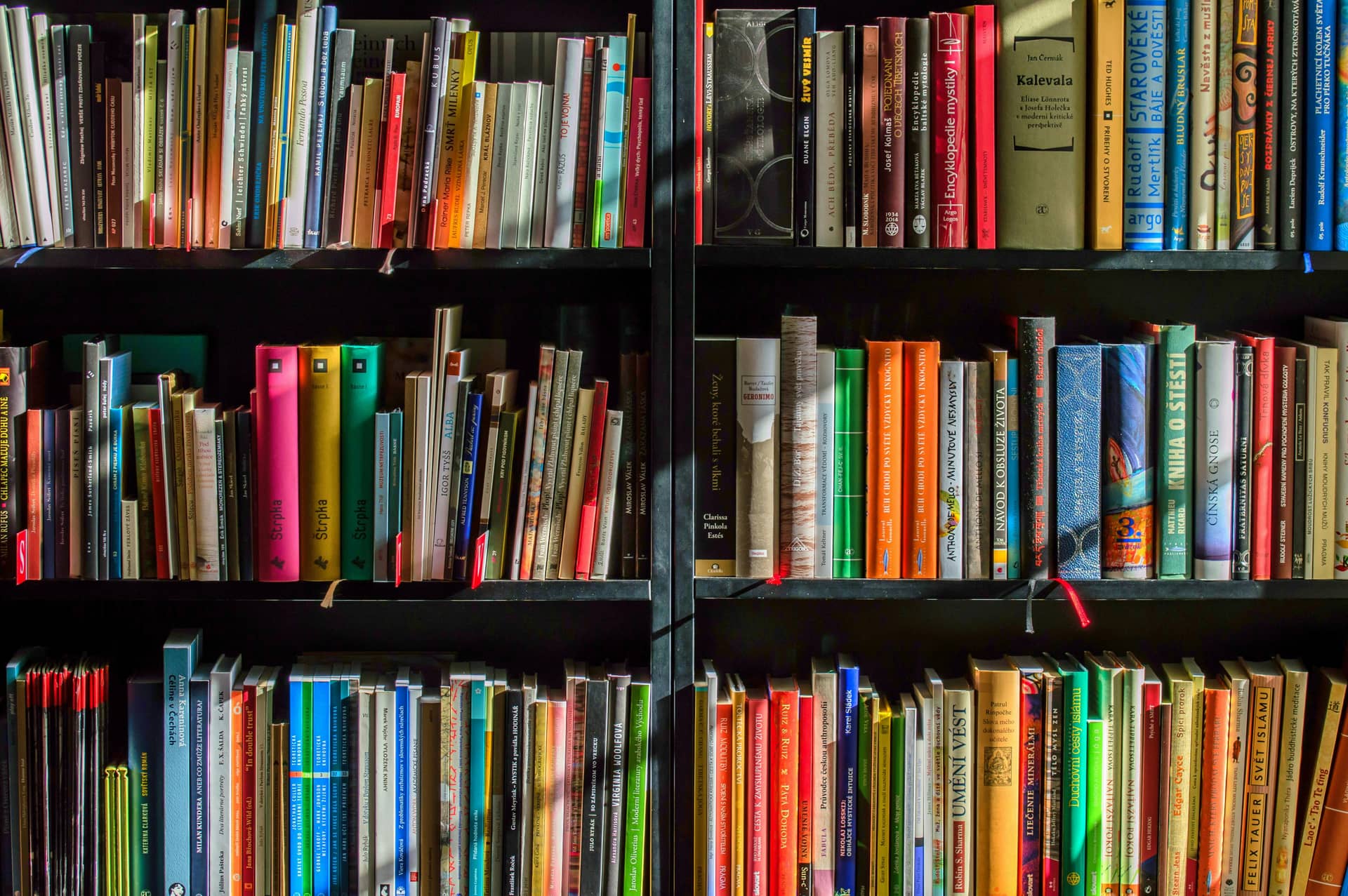 Tiger Tales - Academic camp for Ages: 3-5 by Cotsen Children's Library