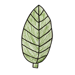Nature Drawing
