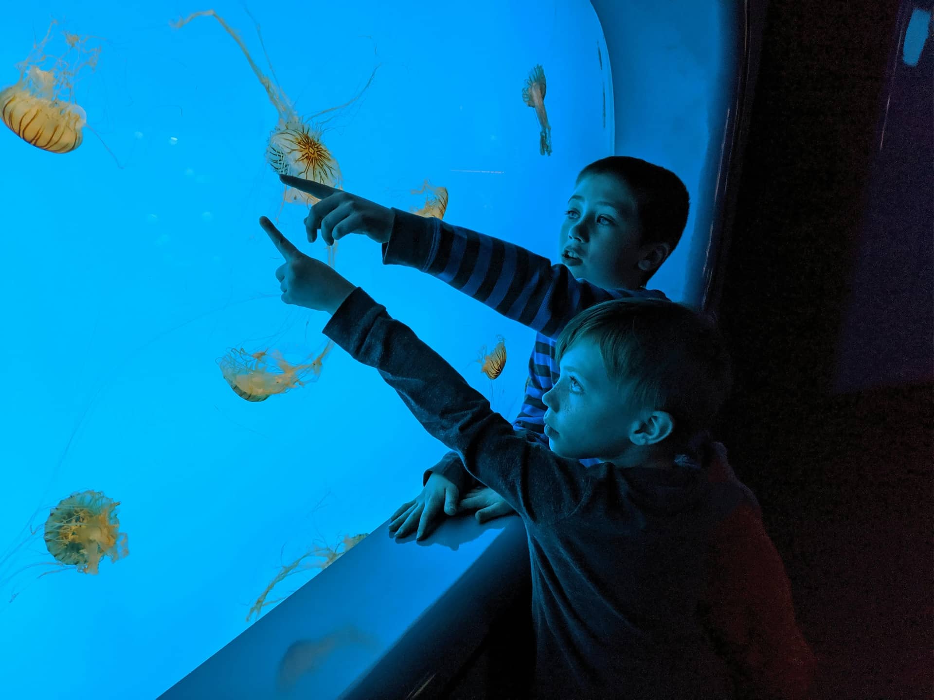 Ocean STEAM Powered Women Fellowship (O-STEAM) - STEM camp for Ages: 15-17 by WHOI Sea Grant