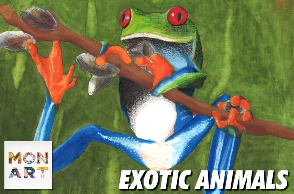 Drawing Exotic Animals 2 - Arts camp for Ages: 6-12 by Monart School of Art
