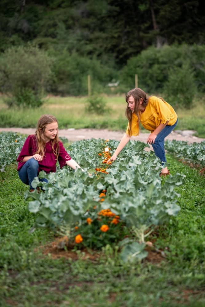Nature Week - STEM camp for Ages: 6-11 by Bodhi Farms