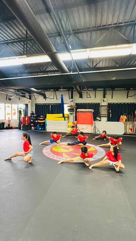 Shaolin Kung Fu - Sports camp for Ages: 5-18 by Phoenix Wellness Arts Summer Camps