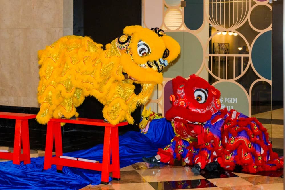 Lion Dance Camp - Performing Arts camp for Ages: 5-18 by Phoenix Wellness Arts Summer Camps